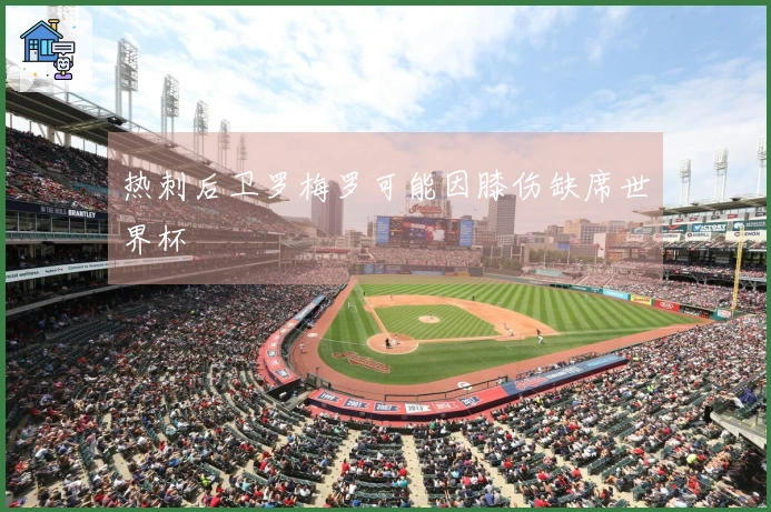 热刺后卫罗梅罗可能因膝伤缺席世界杯