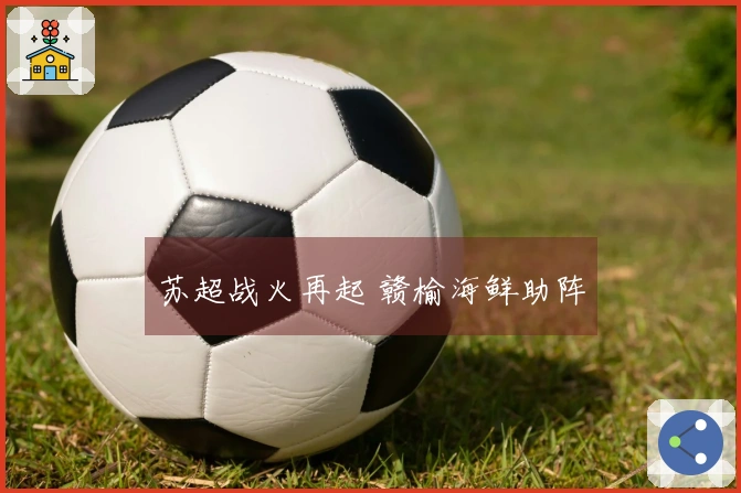 苏超战火再起 赣榆海鲜助阵